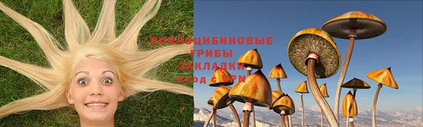 стафф Алзамай