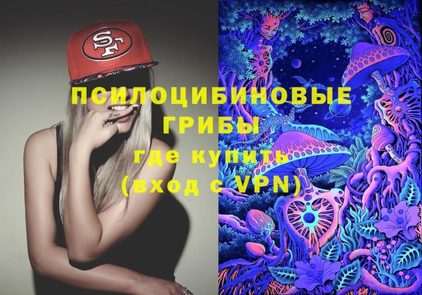 стафф Алзамай