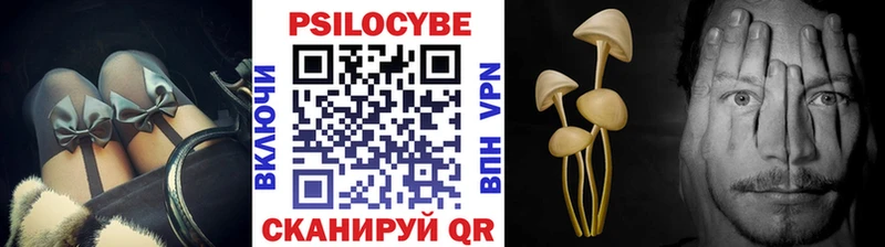 закладки  Дмитриев  Галлюциногенные грибы Psilocybe 