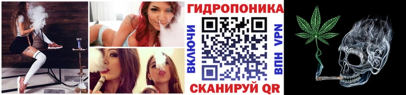 цена   Дмитриев  блэк спрут рабочий сайт  Марихуана индика 